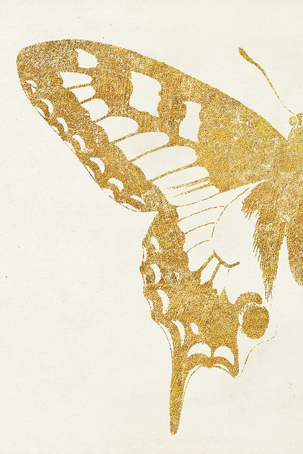 Butterfly Wings I Poster Print - Wild Apple Portfolio # VARPDX74514