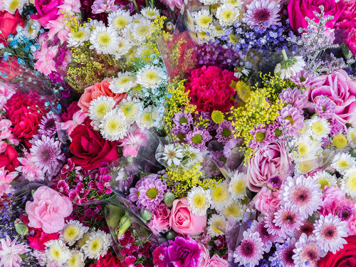 China-Hong Kong Flower market Poster Print - Julie Eggers # VARPDXAS09JEG0084