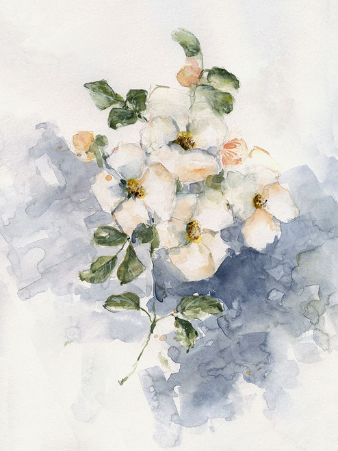 Dogwood Blossoms II Poster Print - Sally Swatland # VARPDX44776