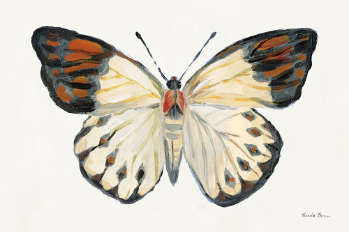Butterfly Study I Poster Print - Farida Zaman # VARPDX74460