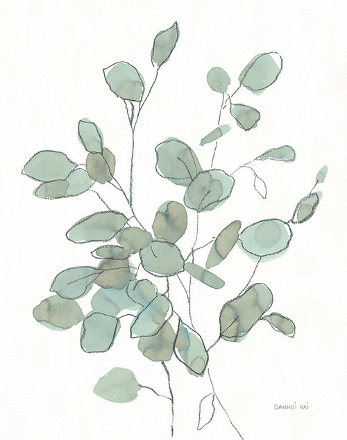 Transparent Leaves Eucalyptus Poster Print - Danhui Nai # VARPDX79238