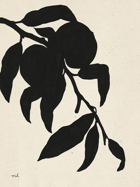 Peach I Poster Print - Moira Hershey # VARPDX76172