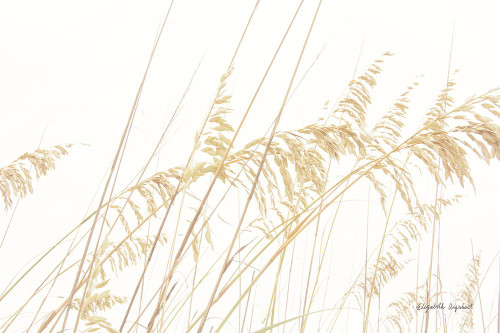 Blowing in the Wind I Poster Print - Elizabeth Urquhart # VARPDX74444