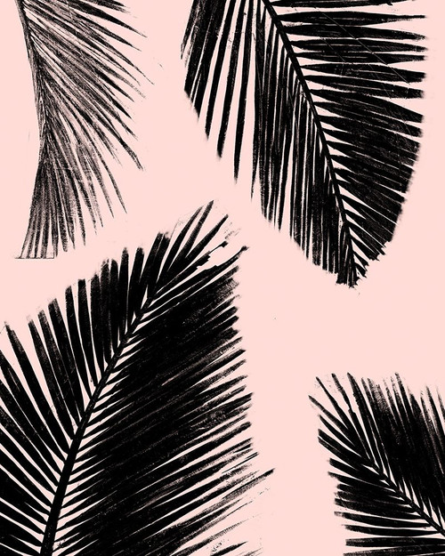 Bar� Palm Pattern on Blush II Poster Print - Patricia Pinto # VARPDX6140Q