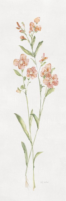 Wild Belle II Poster Print - Sally Swatland # VARPDX47475