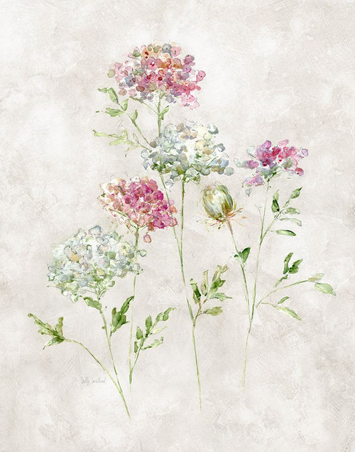 Soft Lace II Poster Print - Sally Swatland # VARPDX47477