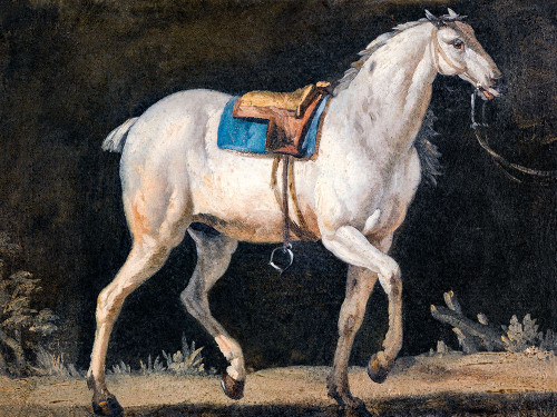 Saddled Gray Horse Poster Print - Jacques-Laurent Agasse # VARPDX67345