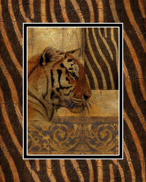 Elegant Safari with Border II Poster Print - Patricia Pinto # VARPDX6635E