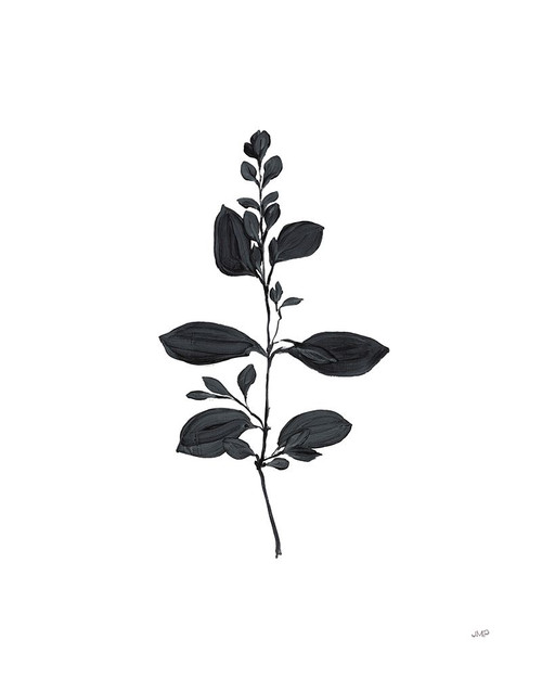 Botanical Study Branch Poster Print - Julia Purinton # VARPDX74410