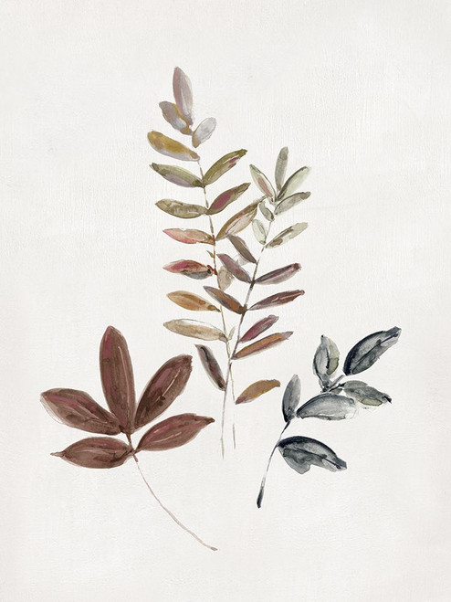Autumn Leaves II Poster Print - Sally Swatland # VARPDX47450