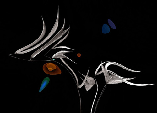 Night Concerto... Poster Print - Thierry Dufour # VARPDX2331665