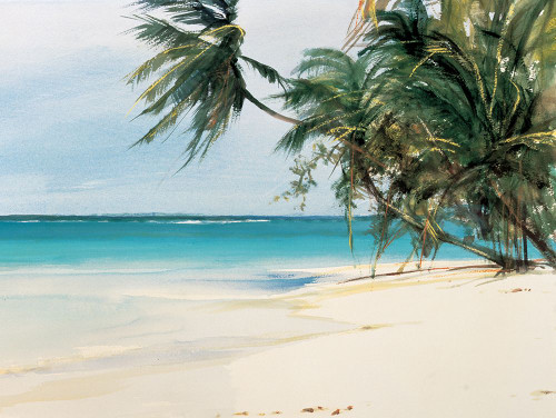Palm Trees II Poster Print - Unknown # VARPDX3553