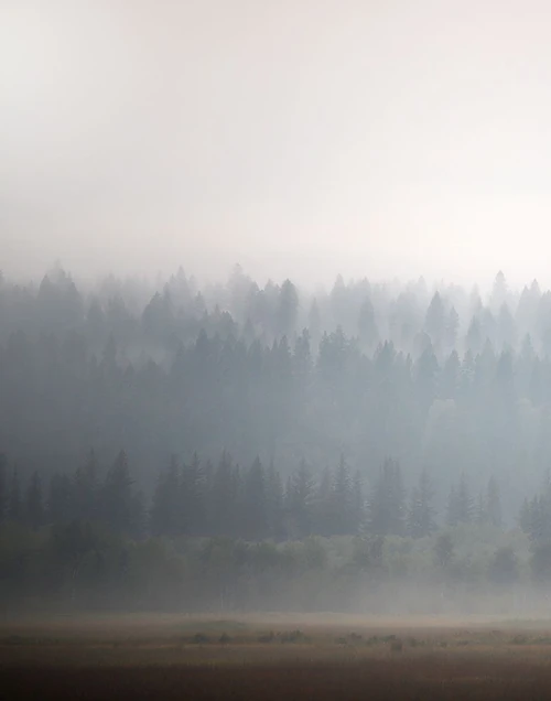 Morning Glow II Poster Print - Carol Robinson # VARPDX47298