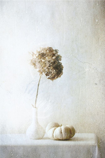 Autumn Feelings Poster Print - Delphine Devos # VARPDX1978728