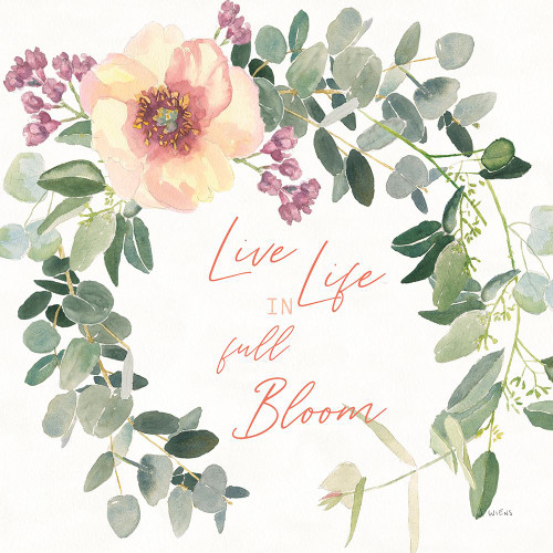 Boho Bouquet  XII Poster Print - James Wiens # VARPDX68452