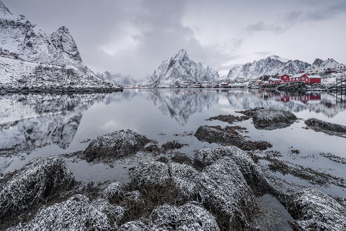 Reine Poster Print - Raymond Hoffmann # VARPDX546295