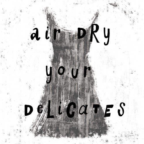 Laundry Rules VI BW Poster Print - Sue Schlabach # VARPDX74234