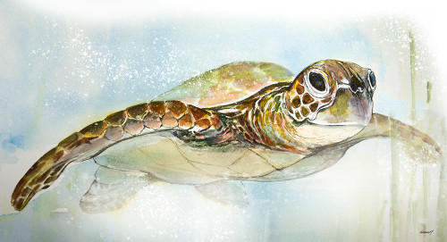 Majestic Turtle Poster Print - Diannart # VARPDX18577A