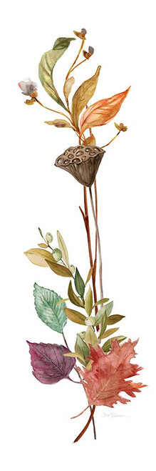 Autumn Botanical II Poster Print - Carol Robinson # VARPDX43432