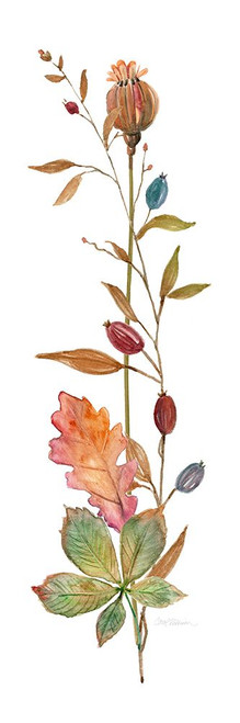 Autumn Botanical III Poster Print - Carol Robinson # VARPDX43433