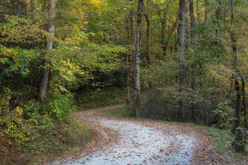 Up and Over I Poster Print - Danny Head # VARPDX216131