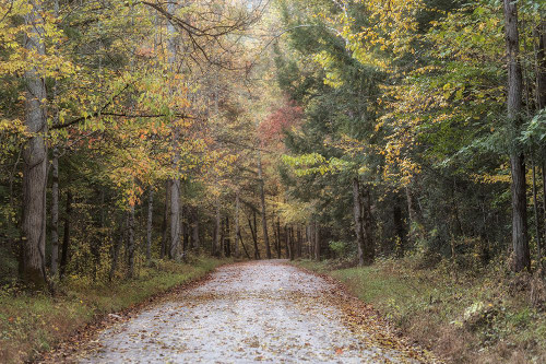 Crusing Greenbrier II Poster Print - Danny Head # VARPDX216094