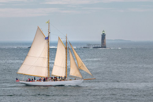 Smooth Sailing Poster Print - Danny Head # VARPDX212493