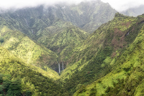 Tropical Valley Poster Print - Danny Head # VARPDX222843