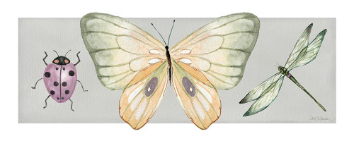 Pretty Insects I Poster Print - Carol Robinson # VARPDX46997