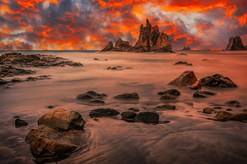 Canary Sunset Poster Print - Adrian Popan # VARPDX2300777