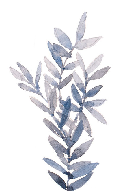 Indigo Seagrass I Poster Print - Lanie Loreth # VARPDX17102A