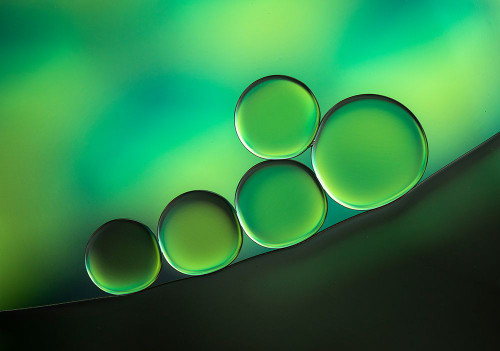 Black Spot Poster Print - Jacqueline Hammer # VARPDX1757139