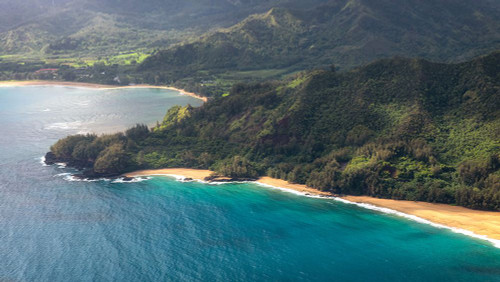 Aqua Shore II Poster Print - Danny Head # VARPDX222769