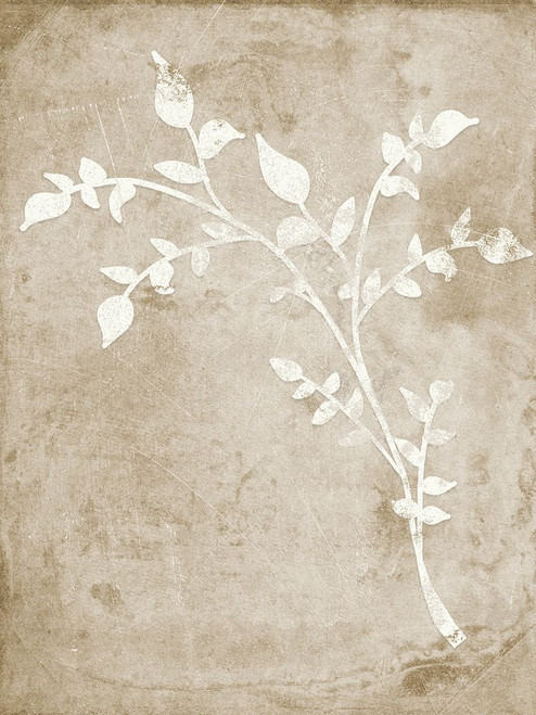 Rustic Floral I Poster Print - Anna Quach # VARPDX13653BS