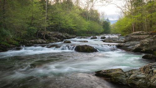 Aqua Poster Print - Danny Head # VARPDX220401