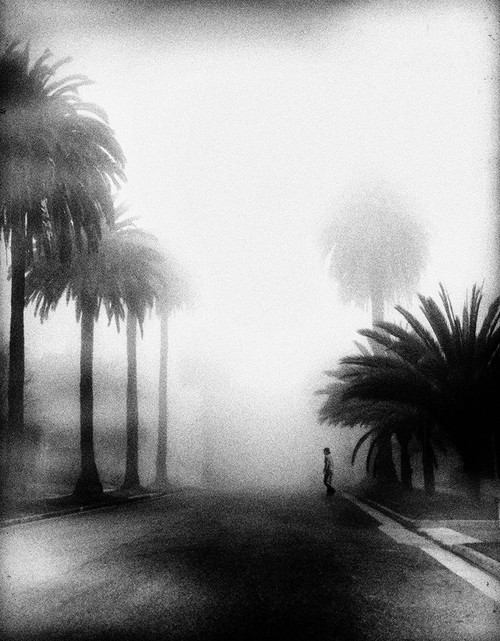 Fog Poster Print - Roxana Labagnara # VARPDX1241687