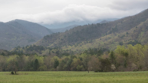 In the Cove Poster Print - Danny Head # VARPDX220222