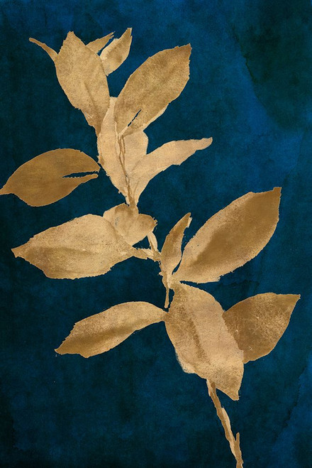 Gold Leaves on Navy IV Poster Print - Lanie Loreth # VARPDX13617FC