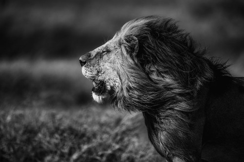 Breeze Poster Print - Mohammed Alnaser # VARPDX1745540