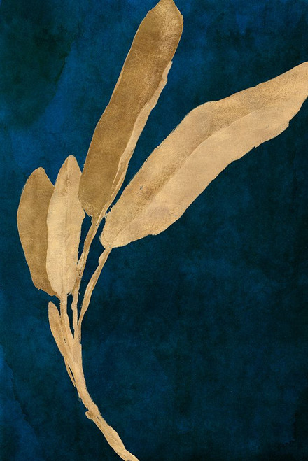 Gold Leaves on Navy III Poster Print - Lanie Loreth # VARPDX13617FB