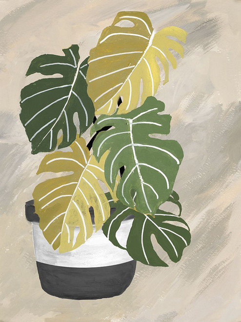 Potted Back To Nature II Poster Print - Patricia Pinto # VARPDX16592CC