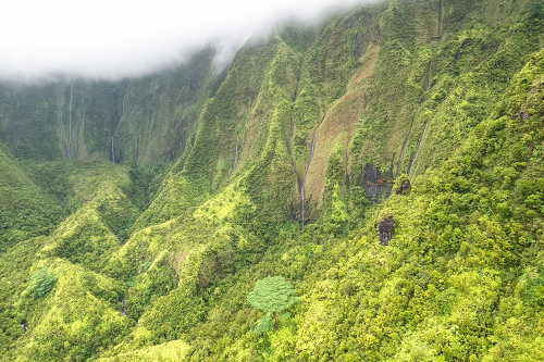 Water Ribbons II Poster Print - Danny Head # VARPDX222136