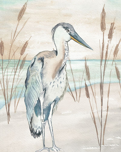 Heron By Beach Grass I Poster Print - Elizabeth Medley # VARPDX17484D