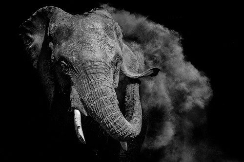 Untitled Poster Print - Vedran Vidak # VARPDX1558535