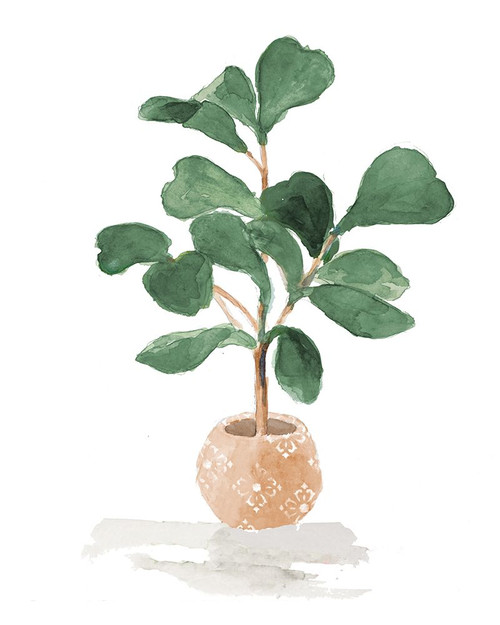 Potted Fiddle Fig Tree I Poster Print - Lanie Loreth # VARPDX15530G