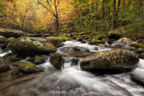 Autumn at Tremont I Poster Print - Danny Head # VARPDX216441