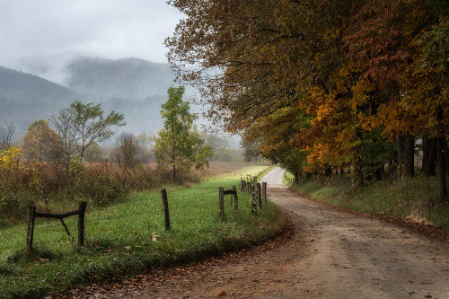 Cove Lane IV Poster Print - Danny Head # VARPDX216367