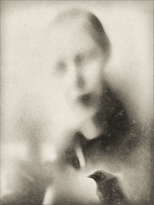 Malicious Bird Poster Print - Gilbert Claes # VARPDX1843043