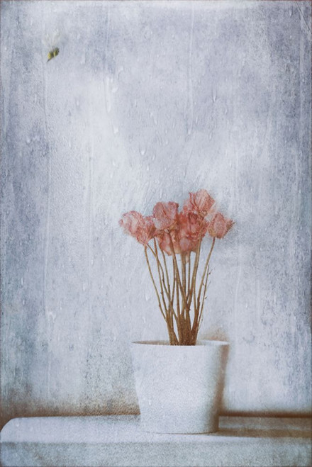 When Summers Gone... Poster Print - Delphine Devos # VARPDX1742809
