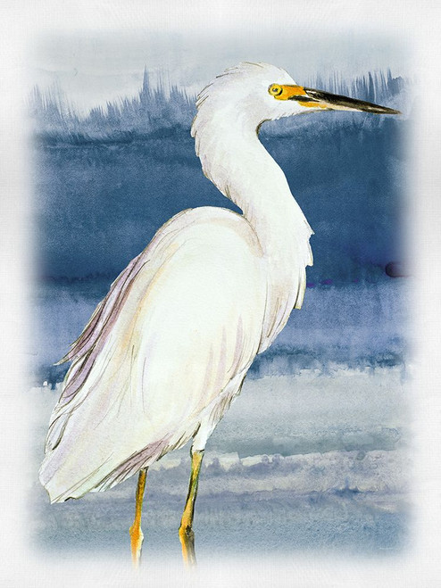 Blue on Blue Heron II Poster Print - Lanie Loreth # VARPDX11924CF